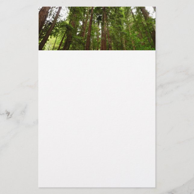 Upp till Redwood I på Muir Skogen nationalmonument Brevpapper (Framsida)