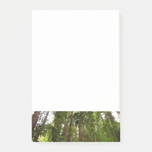 Upp till Redwood I på Muir Skogen nationalmonument Post-it Block (Framsida)