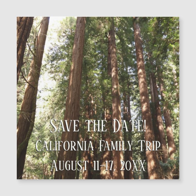 Upp till Redwood II vid Muir Skogen nationalmonume (Framsida)