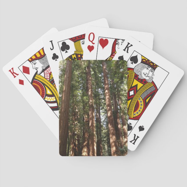 Upp till Redwood II vid Muir Skogen nationalmonume Casinokort (Baksidan)