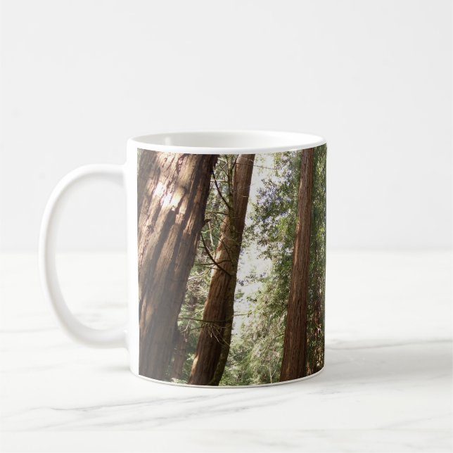 Upp till Redwood II vid Muir Skogen nationalmonume Kaffemugg (Vänster)