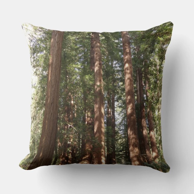 Upp till Redwood II vid Muir Skogen nationalmonume Kudde (Framsida)
