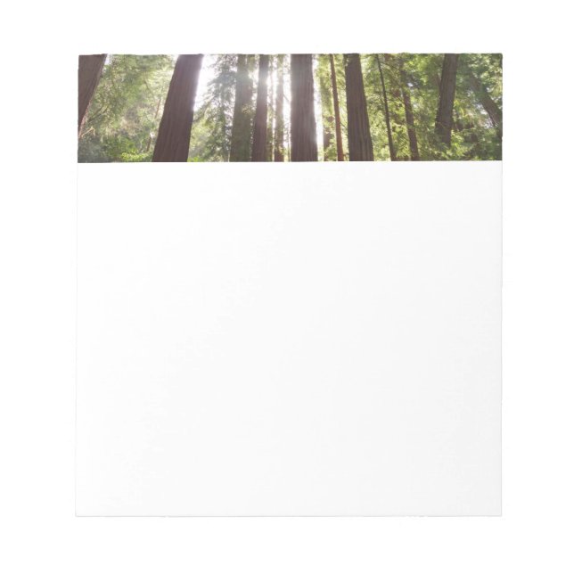 Upp till Redwood på morgonen Anteckningsblock (Framsida)