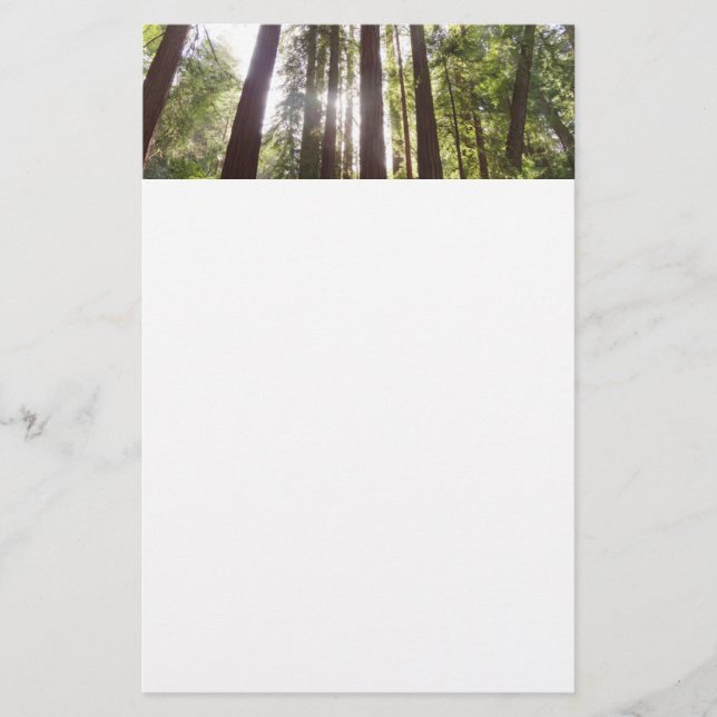 Upp till Redwood på morgonen Brevpapper (Framsida)