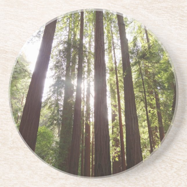 Upp till Redwood på morgonen Underlägg (Framsidan)