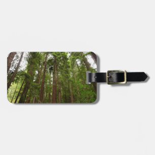 Upp till Redwoods I vid Muir Woods National Monume Bagagebricka