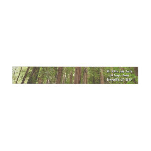 Upp till Redwoods I vid Muir Woods National Monume Etikettband