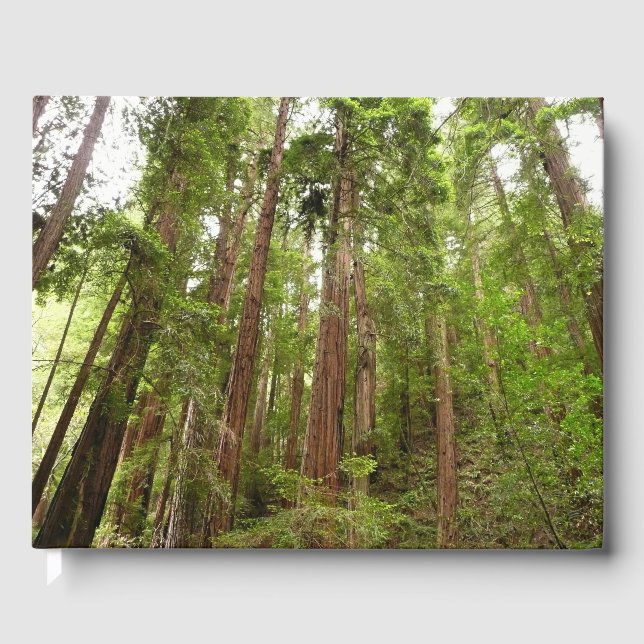 Upp till Redwoods I vid Muir Woods National Monume Gästböcker (Framsida)
