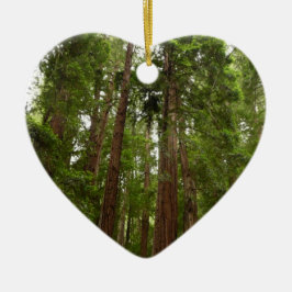 Upp till Redwoods I vid Muir Woods National Monume Julgransprydnad Keramik