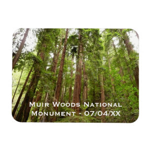 Upp till Redwoods I vid Muir Woods National Monume Magnet