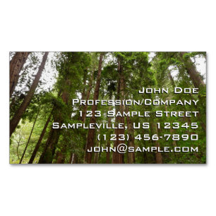 Upp till Redwoods I vid Muir Woods National Monume Magnetiska Visitkort