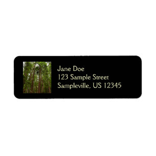 Upp till Redwoods I vid Muir Woods National Monume Returadress Etikett