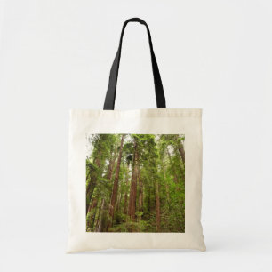 Upp till Redwoods I vid Muir Woods National Monume Tygkasse
