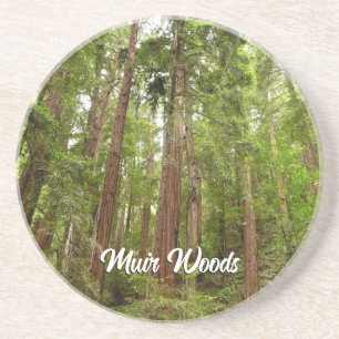 Upp till Redwoods I vid Muir Woods National Monume Underlägg