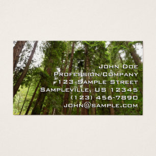 Upp till Redwoods I vid Muir Woods National Monume Visitkort