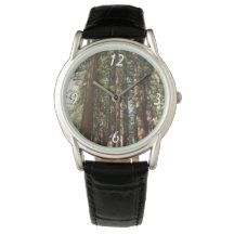 Upp till Redwoods II vid Muir Woods National Monum