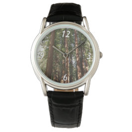 Upp till Redwoods II vid Muir Woods National Monum Armbandsur