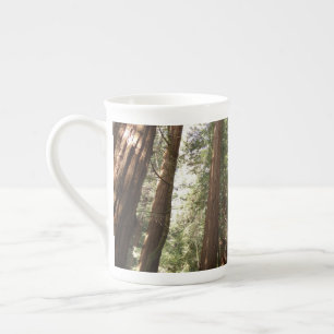 Upp till Redwoods II vid Muir Woods National Monum Benporslin Mugg