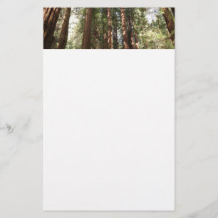 Upp till Redwoods II vid Muir Woods National Monum Brevpapper
