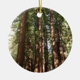 Upp till Redwoods II vid Muir Woods National Monum Julgransprydnad Keramik