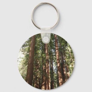 Upp till Redwoods II vid Muir Woods National Monum Nyckelring