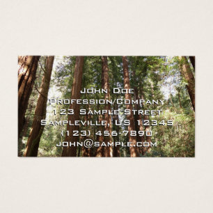 Upp till Redwoods II vid Muir Woods National Monum Visitkort