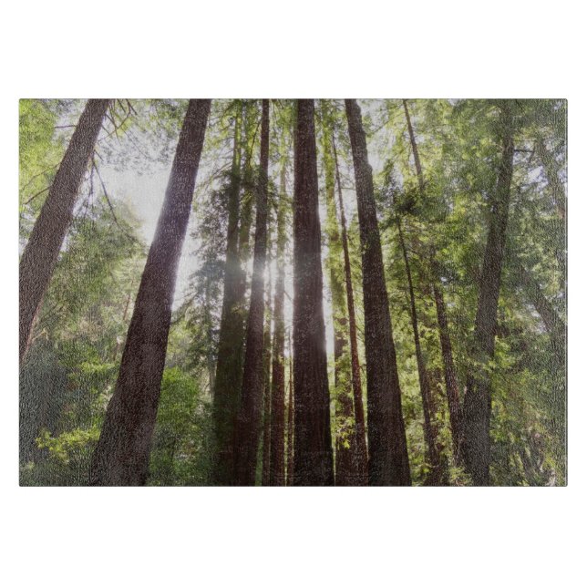 Upp till Redwoods på morgonen (Framsidan)