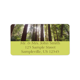 Upp till Redwoods på morgonen Adressetikett