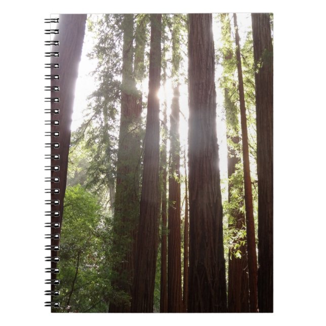 Upp till Redwoods på morgonen Anteckningsbok (Framsidan)
