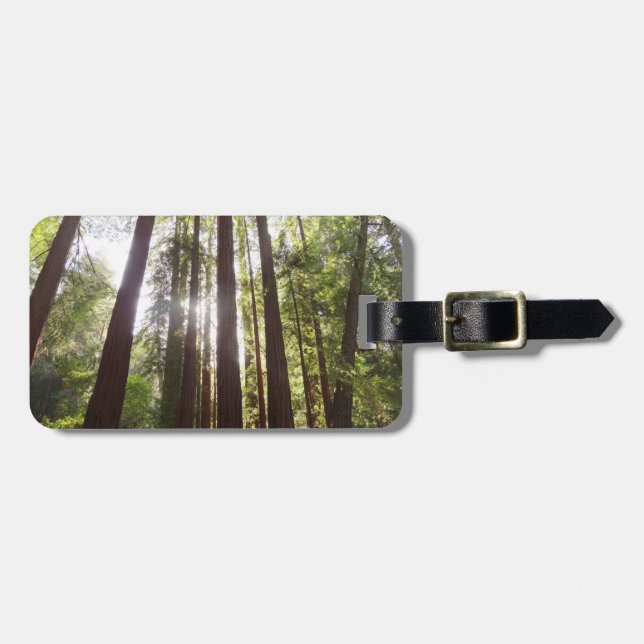 Upp till Redwoods på morgonen Bagagebricka (Horisontell Framsida)