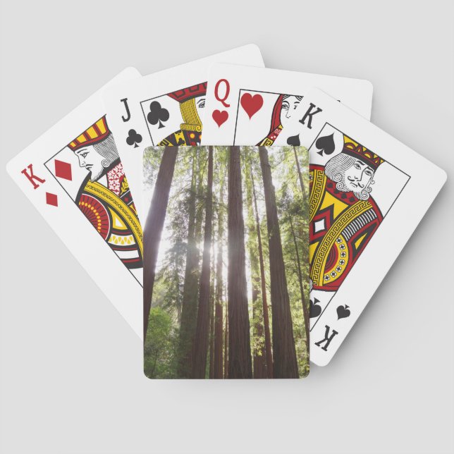 Upp till Redwoods på morgonen Casinokort (Baksidan)