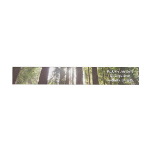 Upp till Redwoods på morgonen Etikettband