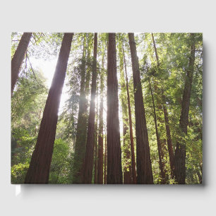 Upp till Redwoods på morgonen Gästböcker