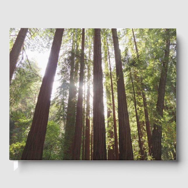 Upp till Redwoods på morgonen Gästböcker (Framsida)