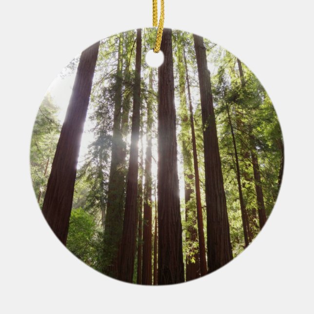 Upp till Redwoods på morgonen Julgransprydnad Keramik (Framsidan)