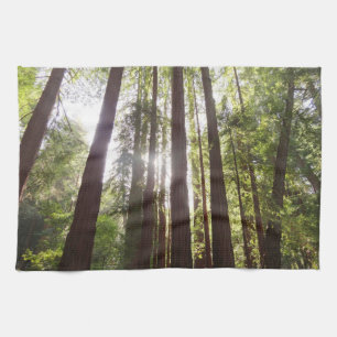 Upp till Redwoods på morgonen Kökshandduk