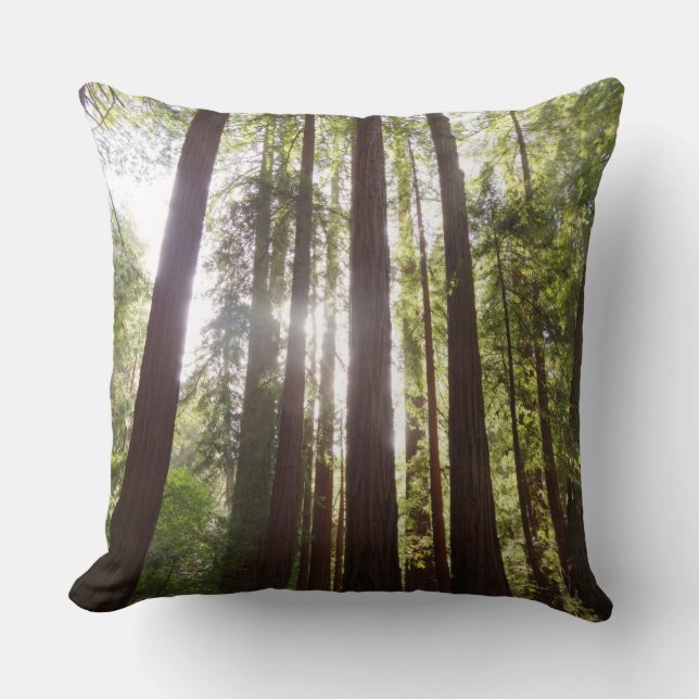 Upp till Redwoods på morgonen Kudde (Framsida)