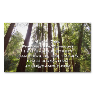 Upp till Redwoods på morgonen Magnetiska Visitkort