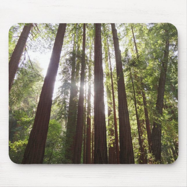 Upp till Redwoods på morgonen Musmatta (Framsidan)