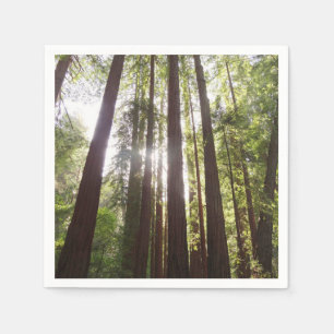 Upp till Redwoods på morgonen Pappersservett