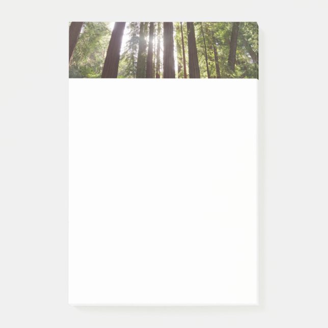 Upp till Redwoods på morgonen Post-it Block (Framsida)