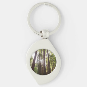 Upp till Redwoods på morgonen Swirl Silverfärgad Nyckelring