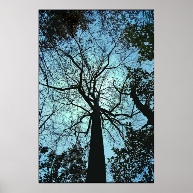 Upp till Träd Poster (Framsidan)