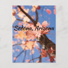 upp, upp, i löv Sedona, Arizona Vykort