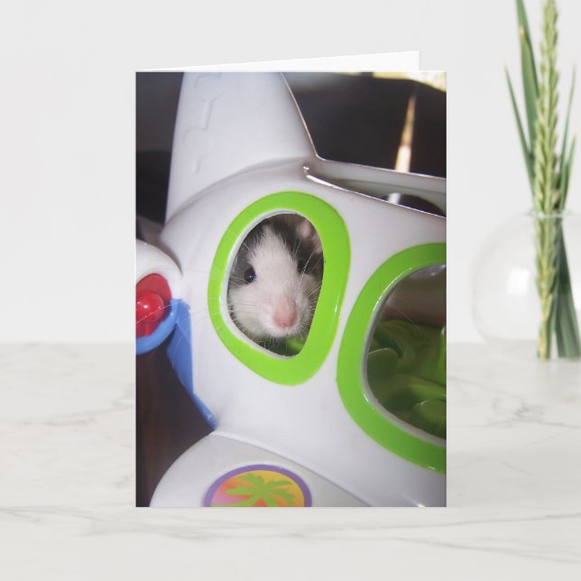 Upp, upp och bort kort (Framsida)