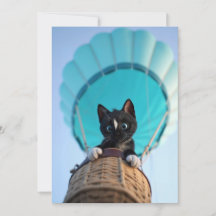 Upp, upp och bort med Felini, katten