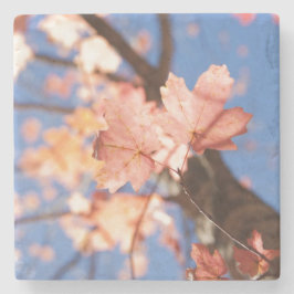 upp, upp, upp i träd stenunderlägg