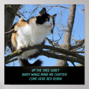 Uppåt i Träd Quiet Cat Meme Haiku Poster
