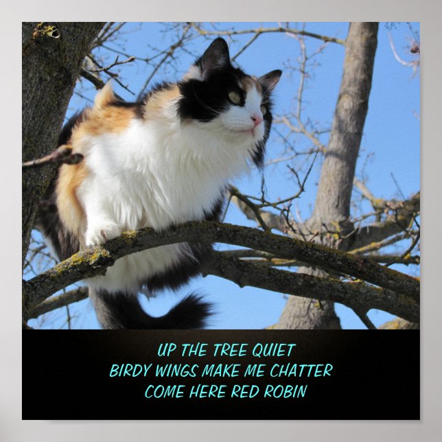 Uppåt i Träd Quiet Cat Meme Haiku Poster (Framsidan)