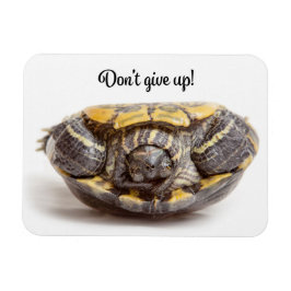 Uppåt inte Ge uppåt och nedåt - Uppåtåt Turtle Enc Magnet